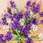 La Torre Kwatera prywatna *