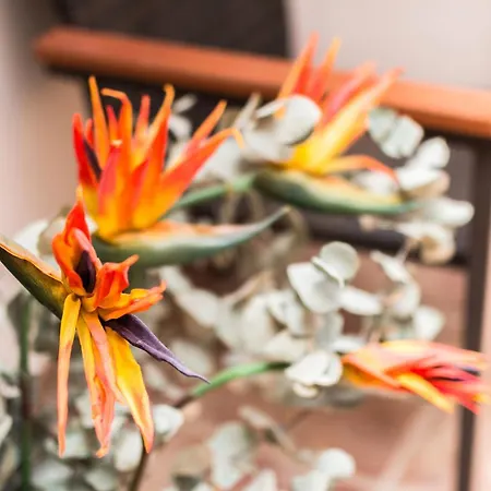 Privatunterkunft La Torre