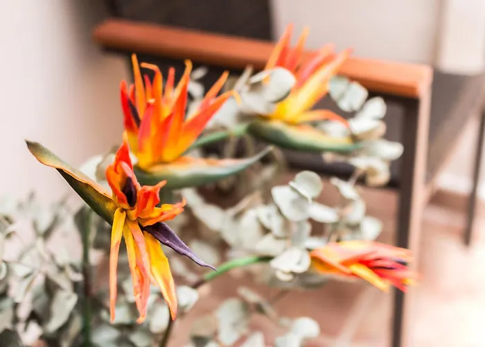 Accommodatie bij particulieren La Torre