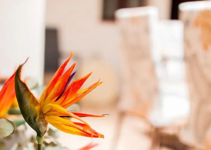 La Torre Privat bolig *