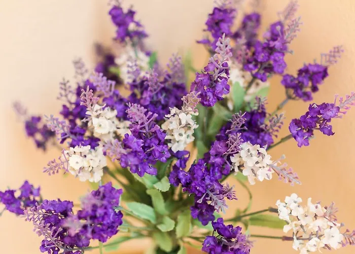 La Torre Privat bolig *